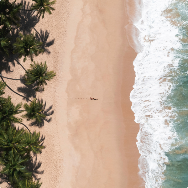 Vista aérea de praia com coqueiros, mar e uma pessoa deitada.